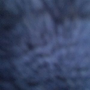 Meet your Posher, Gabby